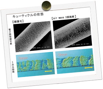 施術前とair wave 3回施術後のキューティクルの状態比較