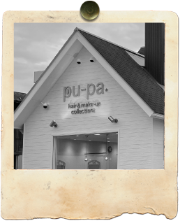 pu-pa 外観