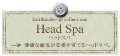 Head Spa ヘッドスパ 健康な頭皮が美髪を育てるヘッドスパ。