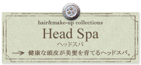 Head Spa ヘッドスパ 健康な頭皮が美髪を育てるヘッドスパ。